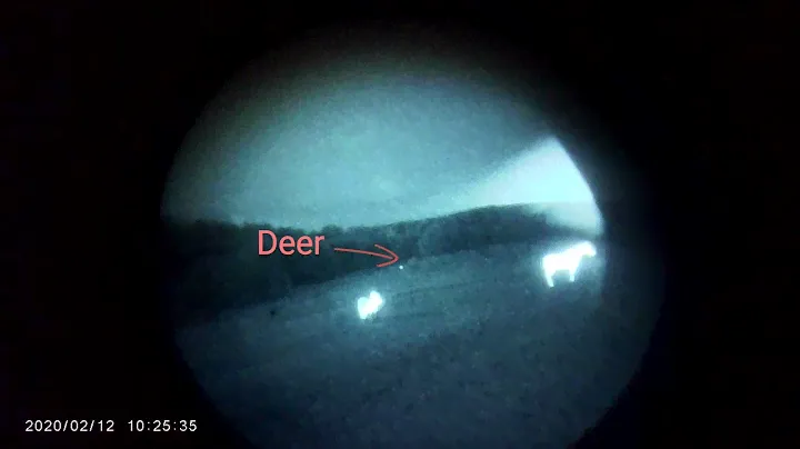 Using thermal overlay to detect a Deer.      Jerry C5 mounted on a Pvs14.