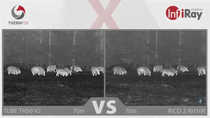 InfiRay TEST - TUBE TH50 V2 vs. RICO 2 RH50R #wildboar #thermalimaging  @InfiRayOutdoor